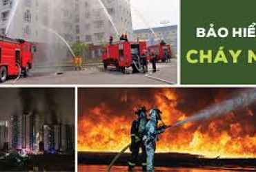 Bảo Hiểm Cháy nổ 